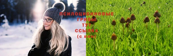 2c-b Зеленодольск