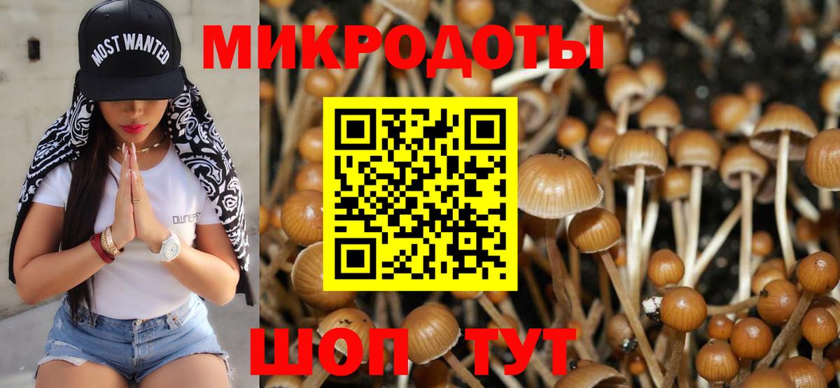 Псилоцибиновые грибы Magic Shrooms  Галлюциногенные грибы ЛСД  Елизово  где купить наркоту  Вход с VPN 