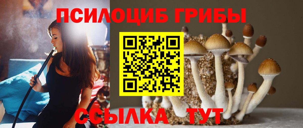 МЕТАМФЕТАМИН Елизово