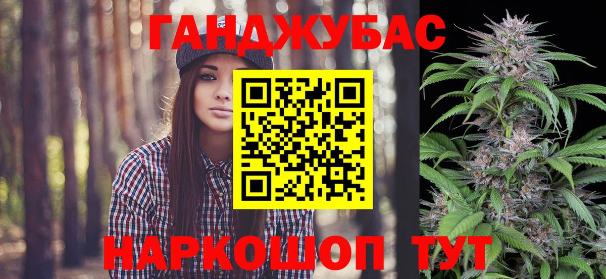 Каннабис сатива Елизово